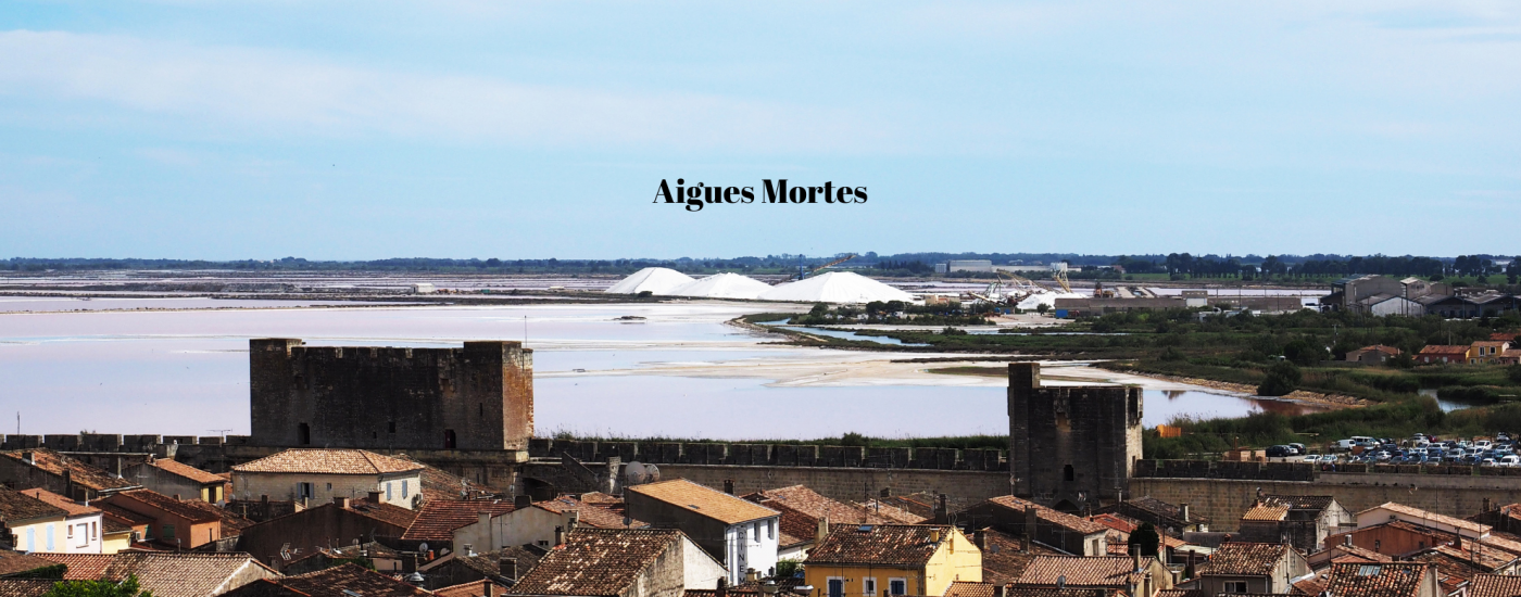 Blog Excursiones por Montpellier Aigues Mortes