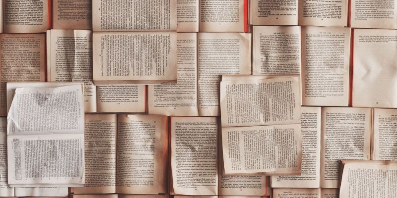 Les livres francophones les plus vendus de 2019 en France